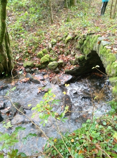 image12 Grande