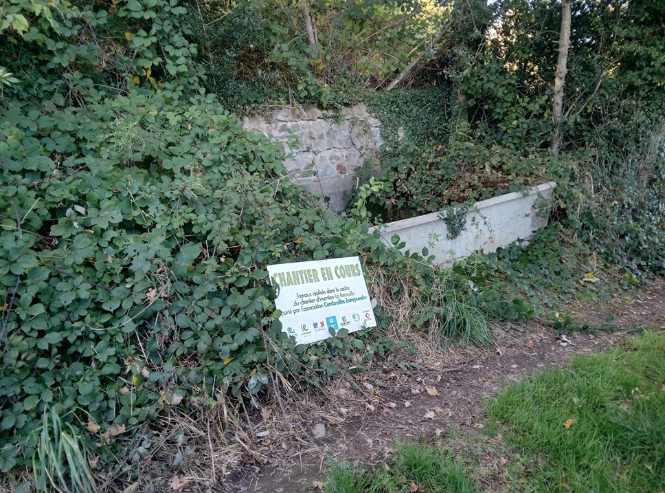 image2 Grande