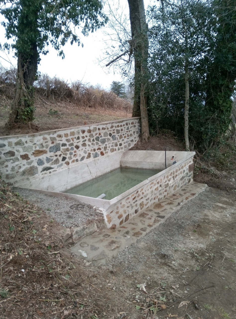 image3 Grande