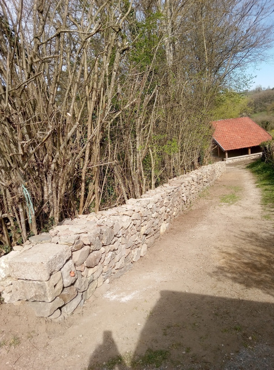 image9 Grande